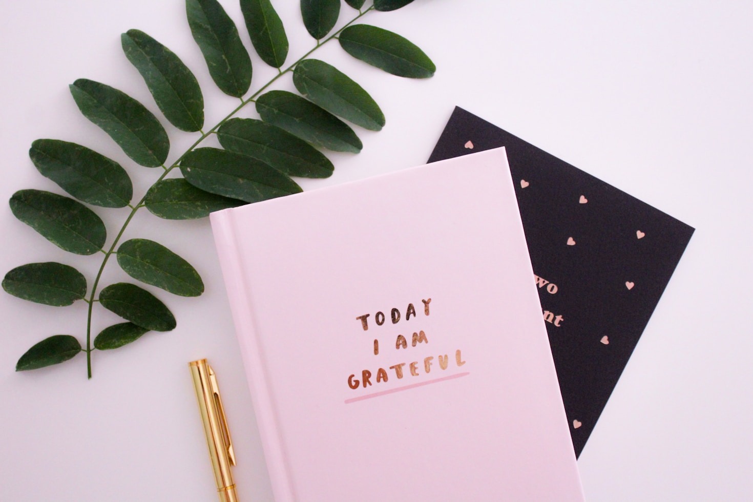 Why Gratitude Transforms Your World